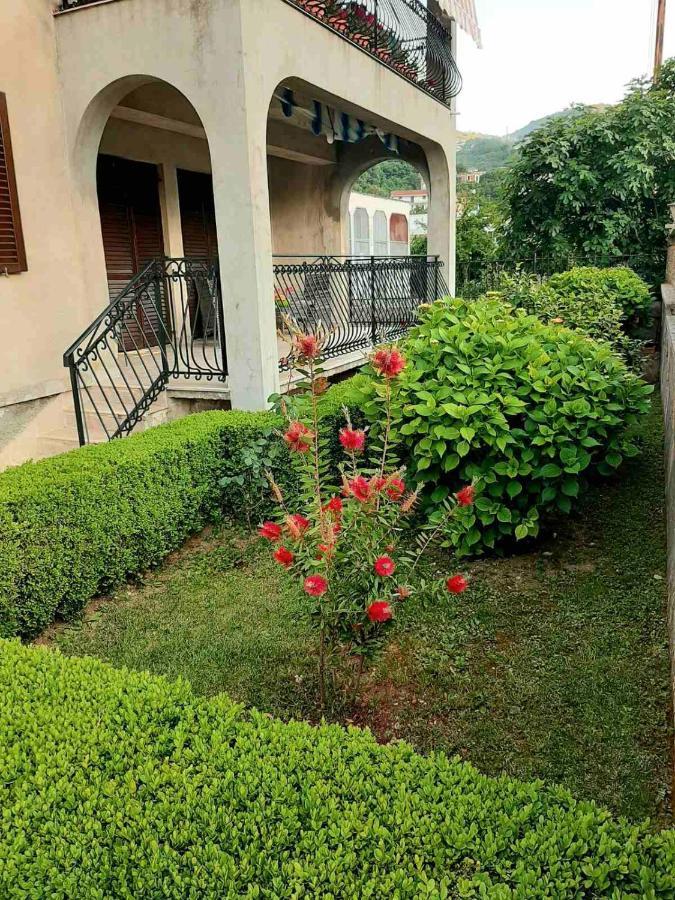 Andrej Apartments Kotor Zewnętrze zdjęcie